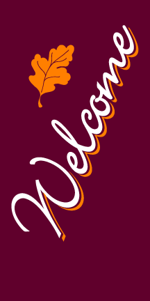 Light Pole Banners