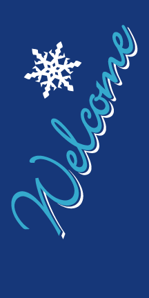 Light Pole Banners