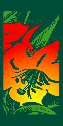 Light Pole Banners