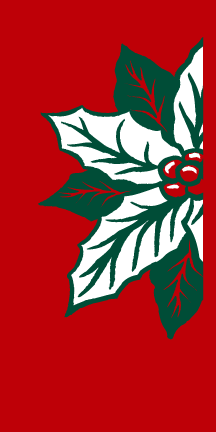 Light Pole Banners