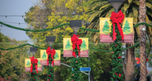light poles with holiday banners and bows