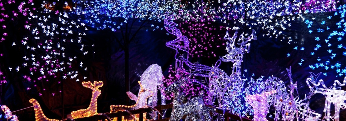 winter holiday lights with purple hues