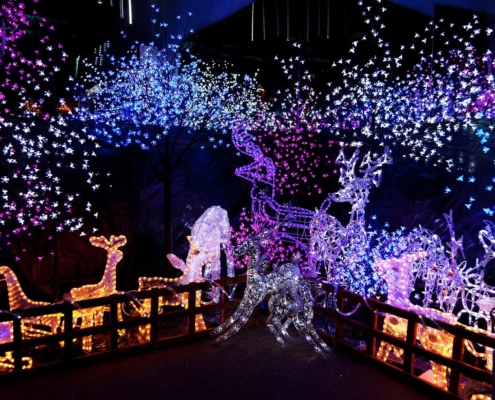 winter holiday lights with purple hues