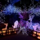 winter holiday lights with purple hues